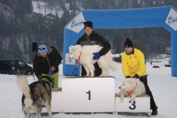 Lenk 2012 SM